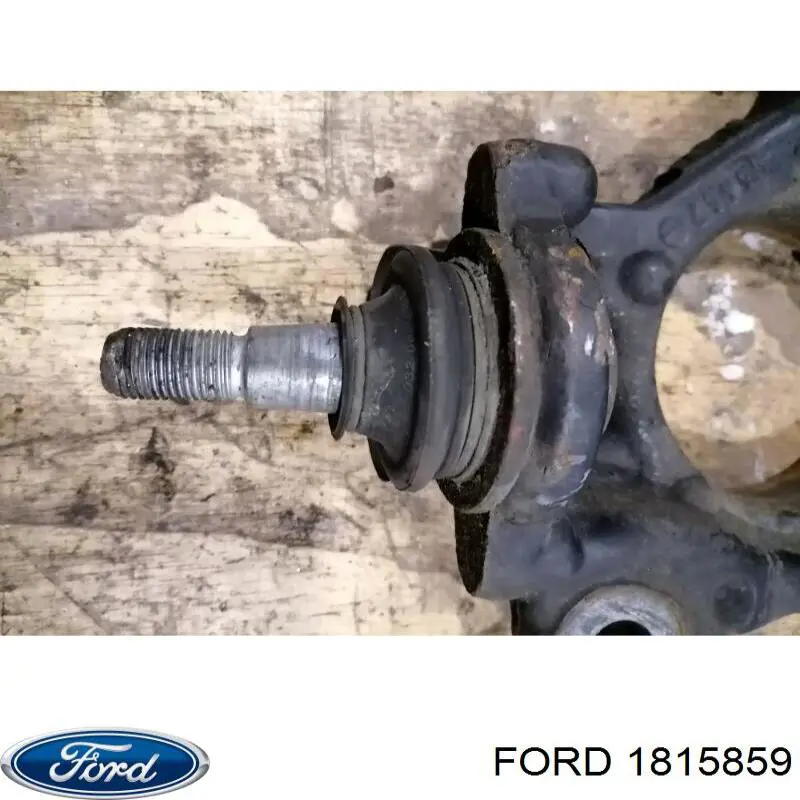 Купить 2025972 Ford Цапфа поворотная левая