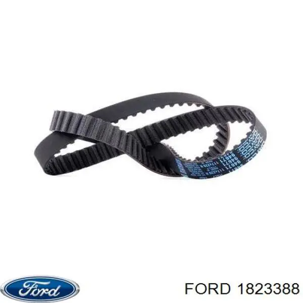 Correa distribucion 1823388 Ford