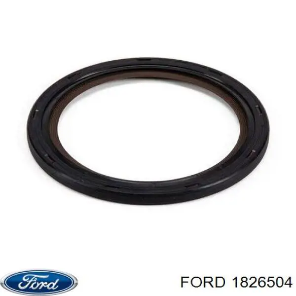 1826504 FORD Retén de cigüeñal original y equivalente