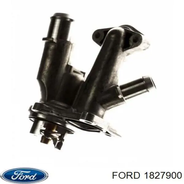 1827900 Ford termostato