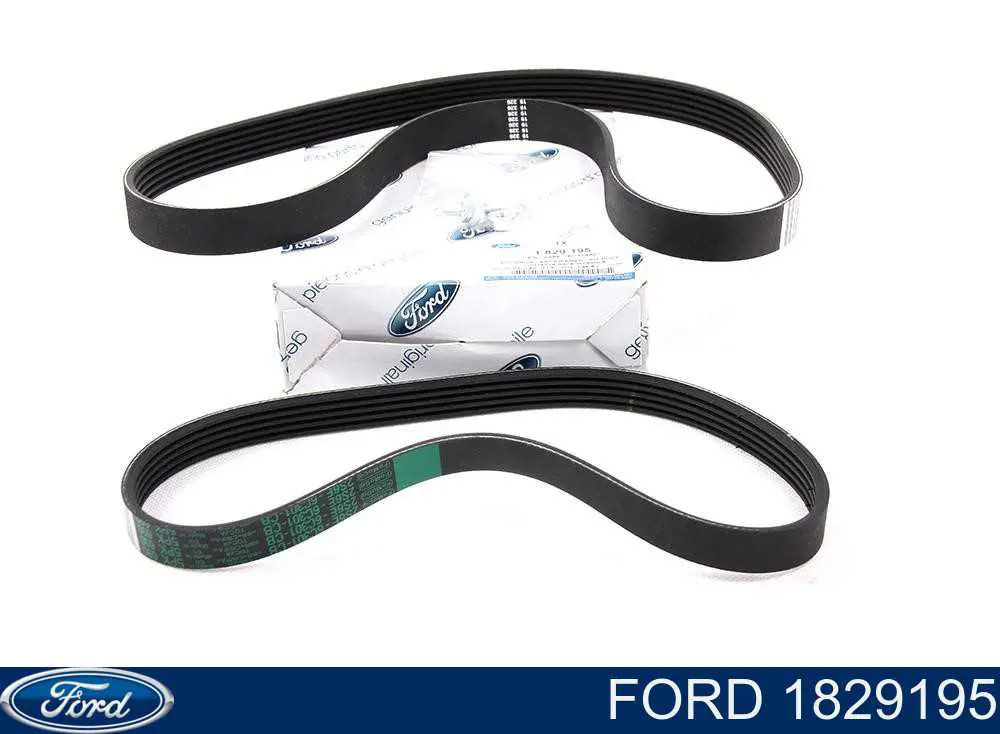 Купить 1829195 Ford Ремень приводной