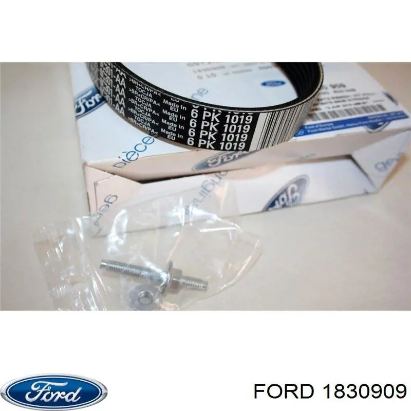Купить 1830909 Ford Ремень генератора