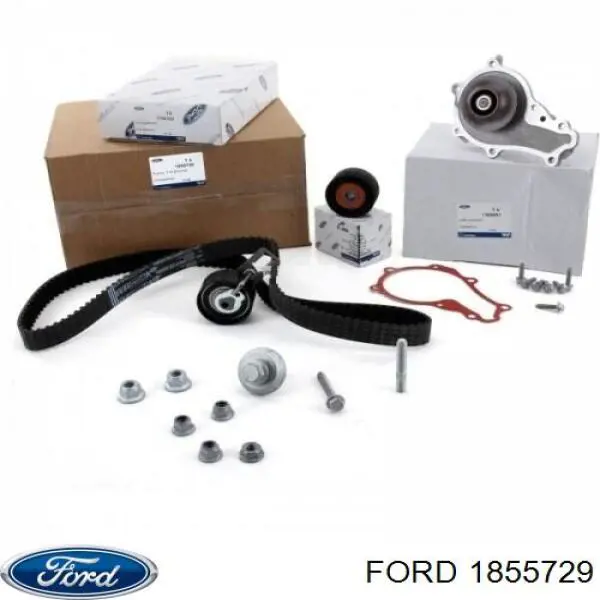 ГРМ ремни, комплект Ford 1855729 цена, от 122.10 USD