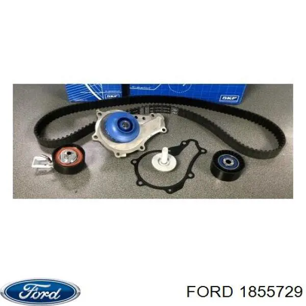 Купить 1855729 Ford Комплект ГРМ