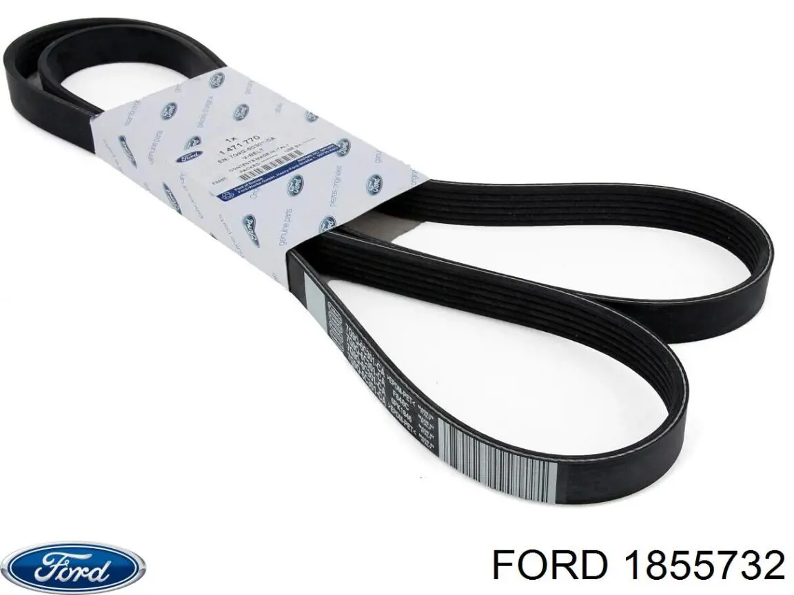 Купить 1855732 Ford Комплект ГРМ