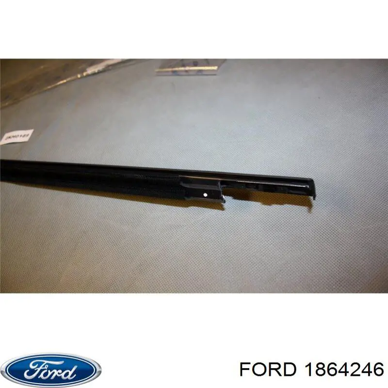 Уплотнитель стекла двери задней левой внешний (планка) на Ford Focus III 