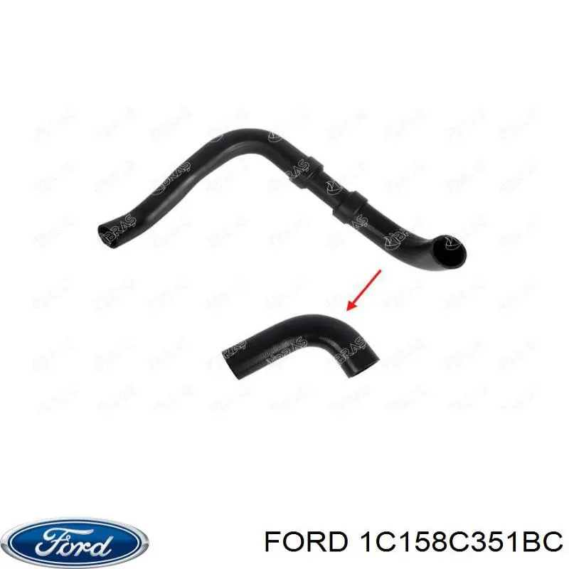 Купить 4541589 Ford Шланг расширительного бачка нижний