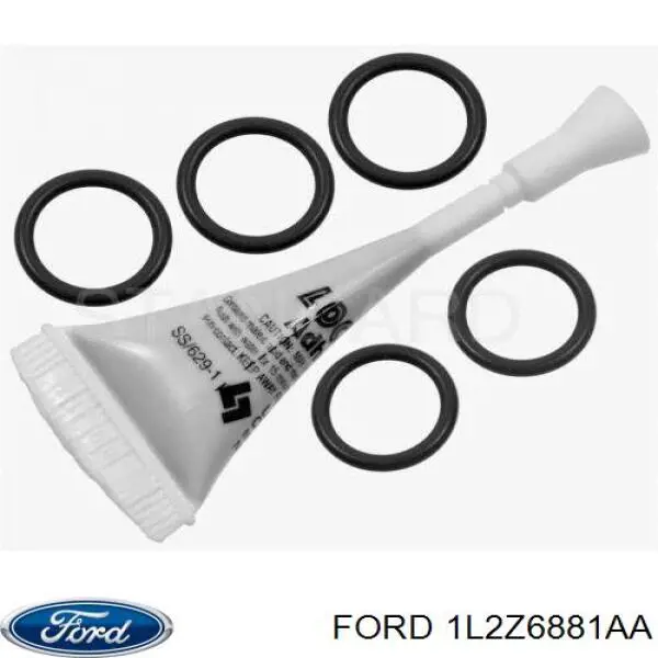  1L2Z6881AA Ford