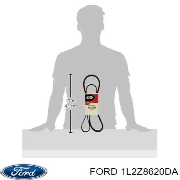 Ремень генератора 4L2Z8620FA Ford