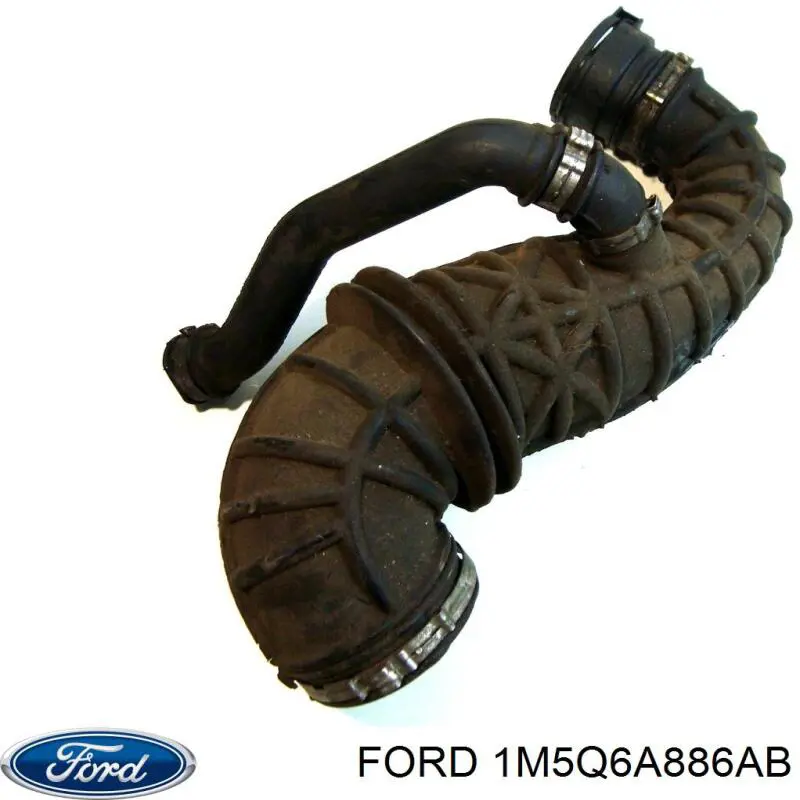  1M5Q6A886AB Ford