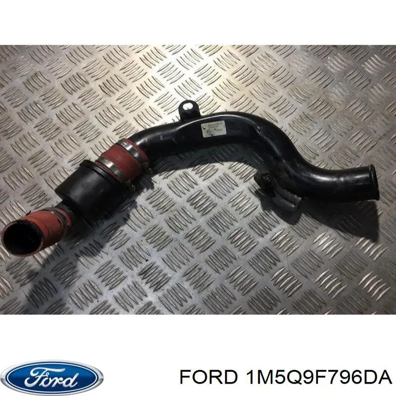 1M5Q9F796DA Ford 