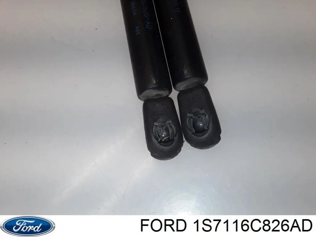 Купить 1S7116C826AD Ford Амортизатор под капот