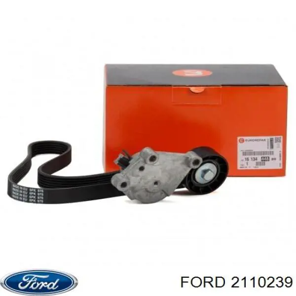 Купить 2110239 Ford Ремень приводной