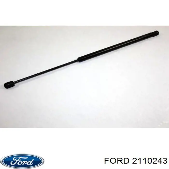  2110243 Ford