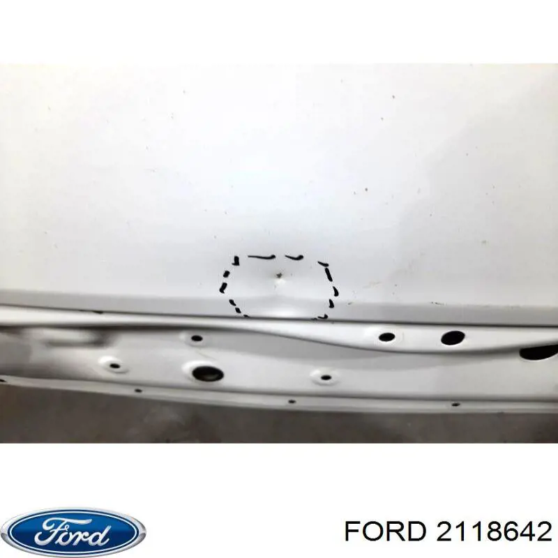 2446970 Ford Дверь фургона задняя, распашная, левая