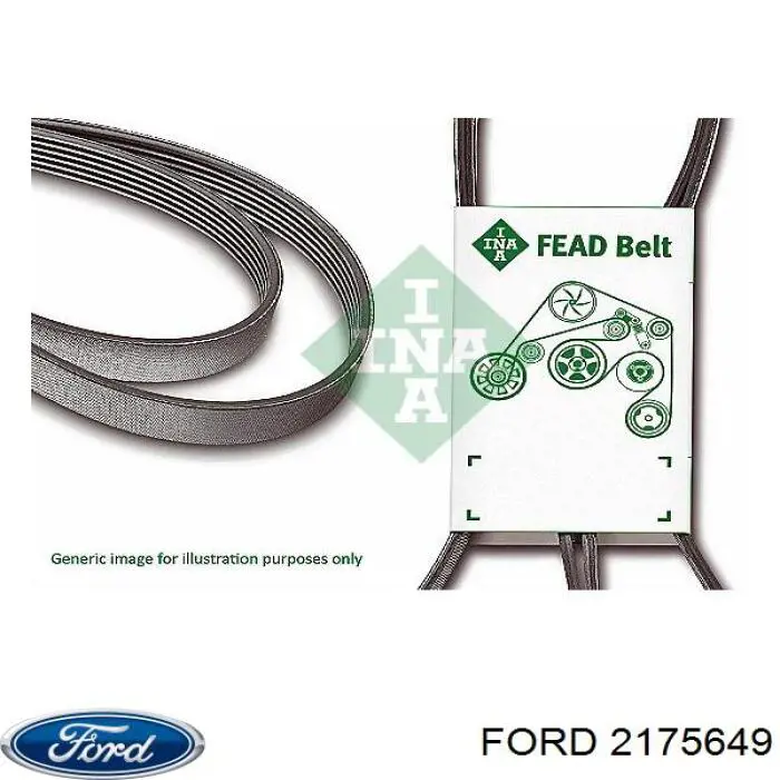 Клиновый ремень Ford 2175649 цена, от 11.17 USD