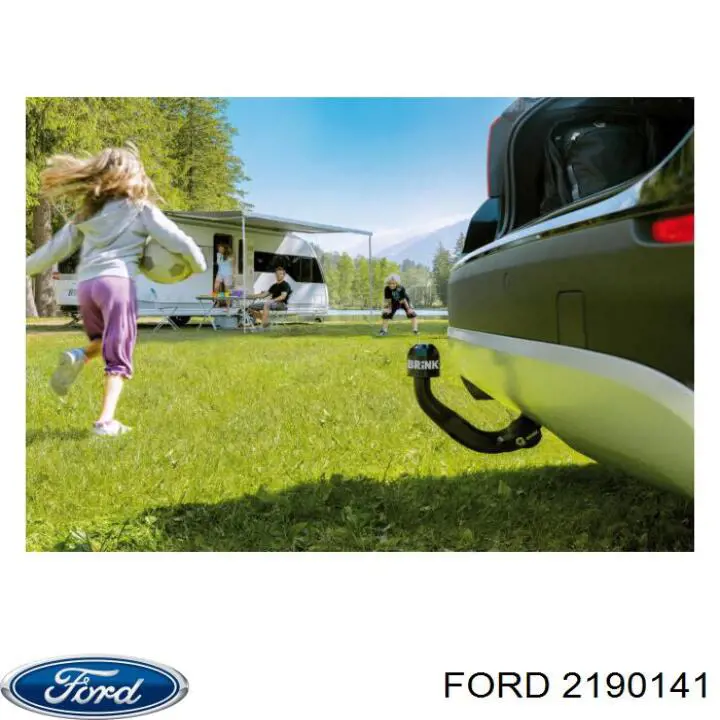 2190141 Ford Впускной клапан