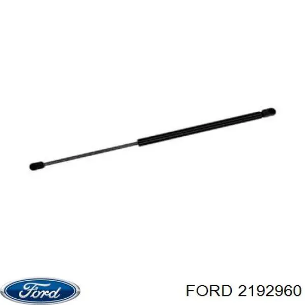 Защита ремня ГРМ 2469401 Ford