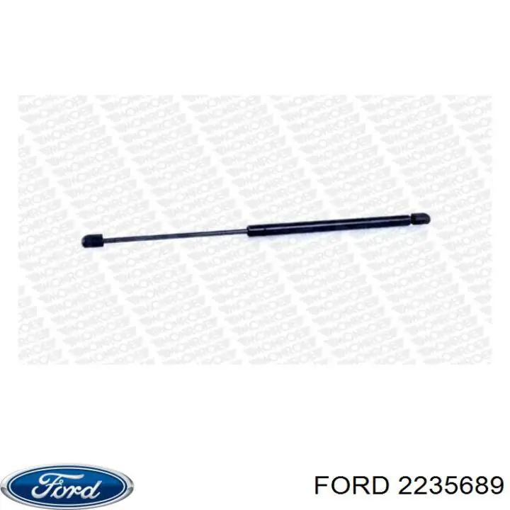 2235689 Ford 