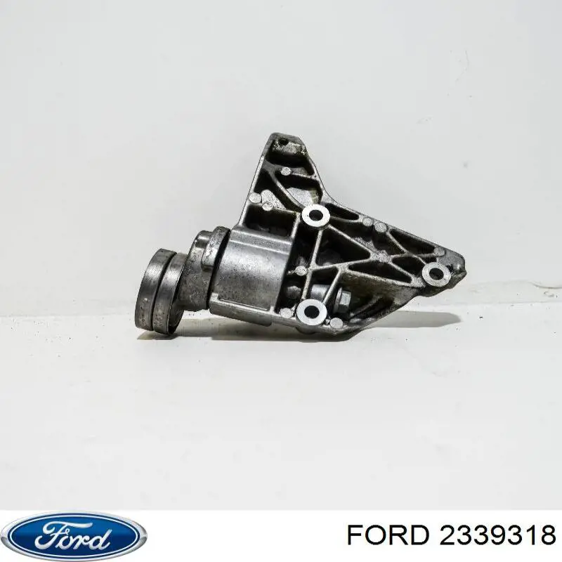Купить 2339318 Ford Пластик под лобовое стекло