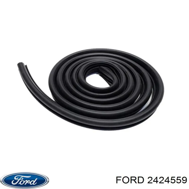 2424559 Ford 