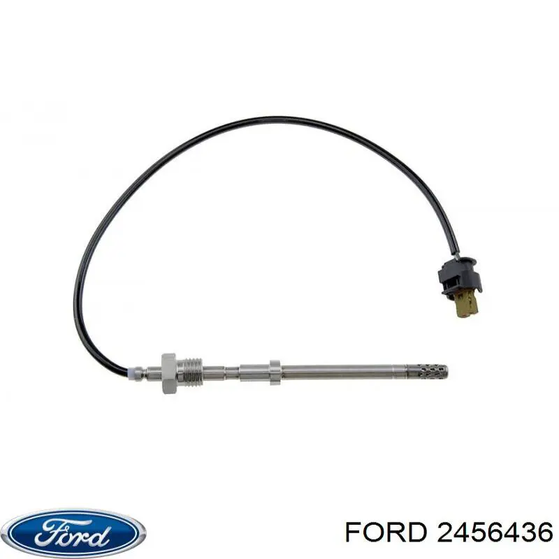  2456436 Ford