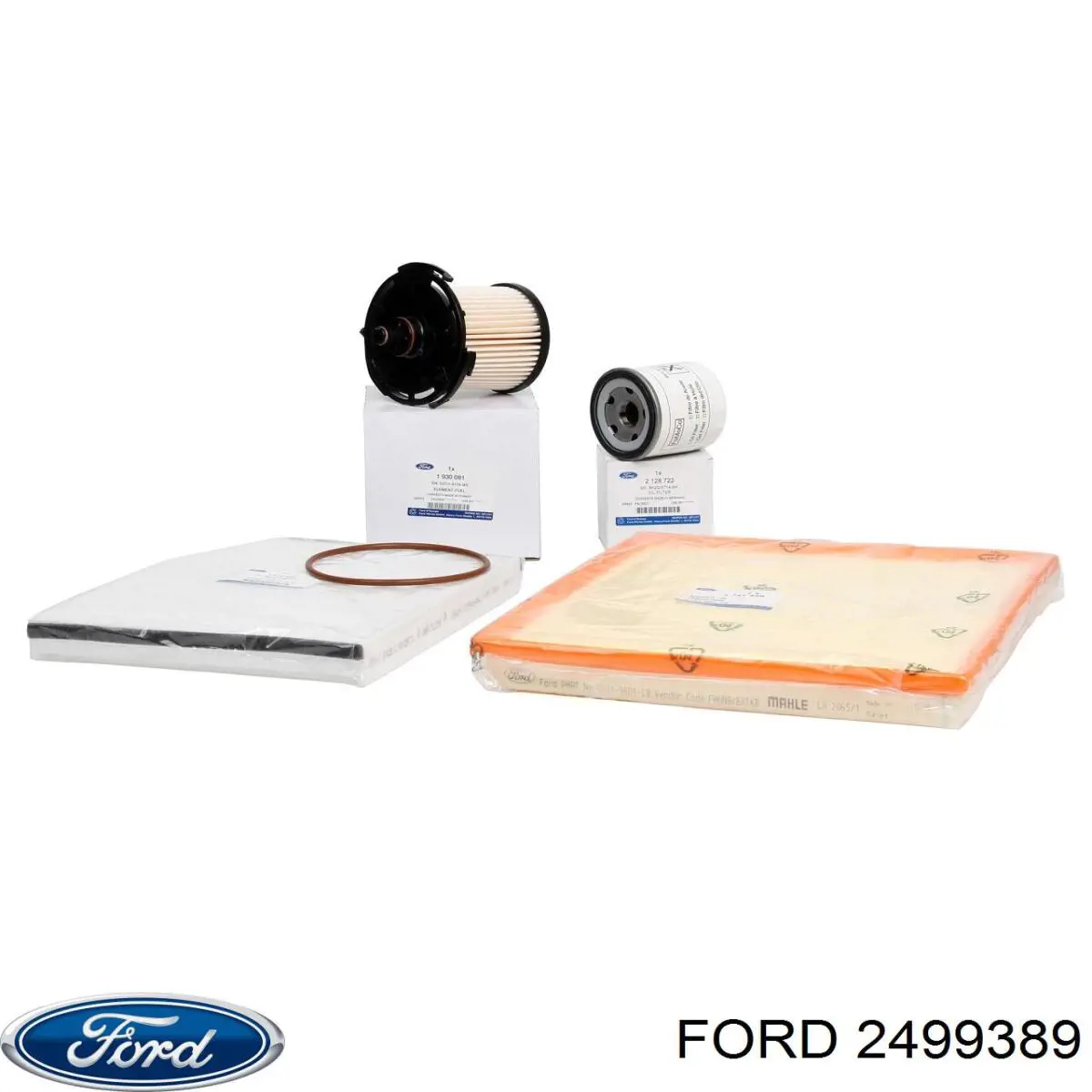 Фильтр топливный Ford 2499389