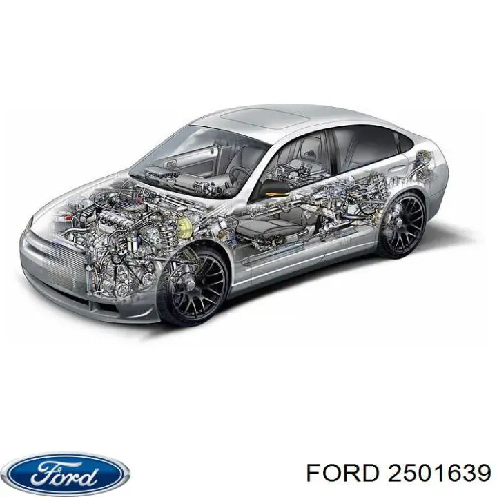 Шланг расширительного бачка нижний FT61558 Fast