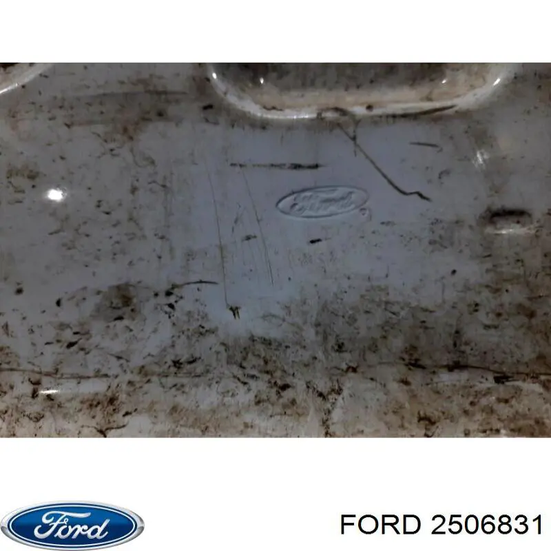 Купить 2506831 Ford Дверь фургона задняя распашная правая