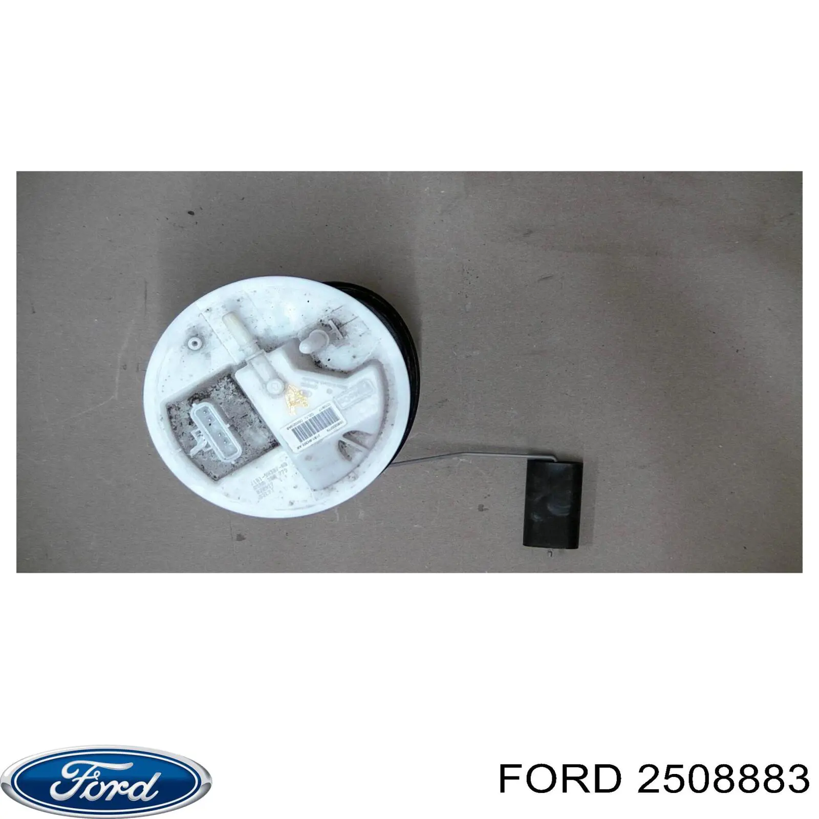 Капот 32B203 Polcar