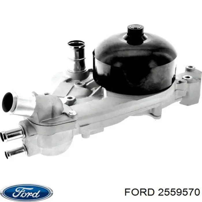  2559570 Ford