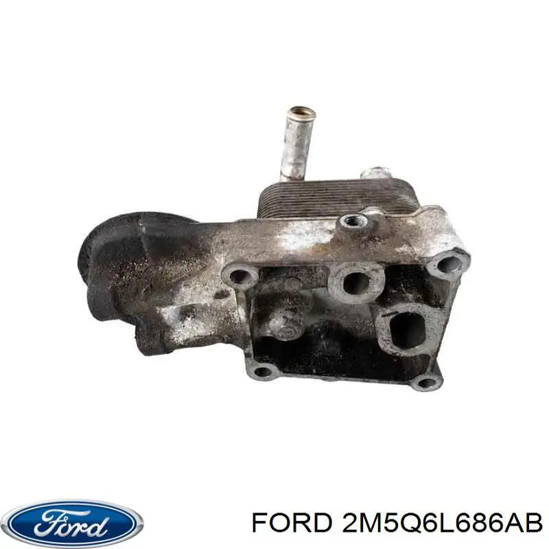 2M5Q6L686AB Ford 