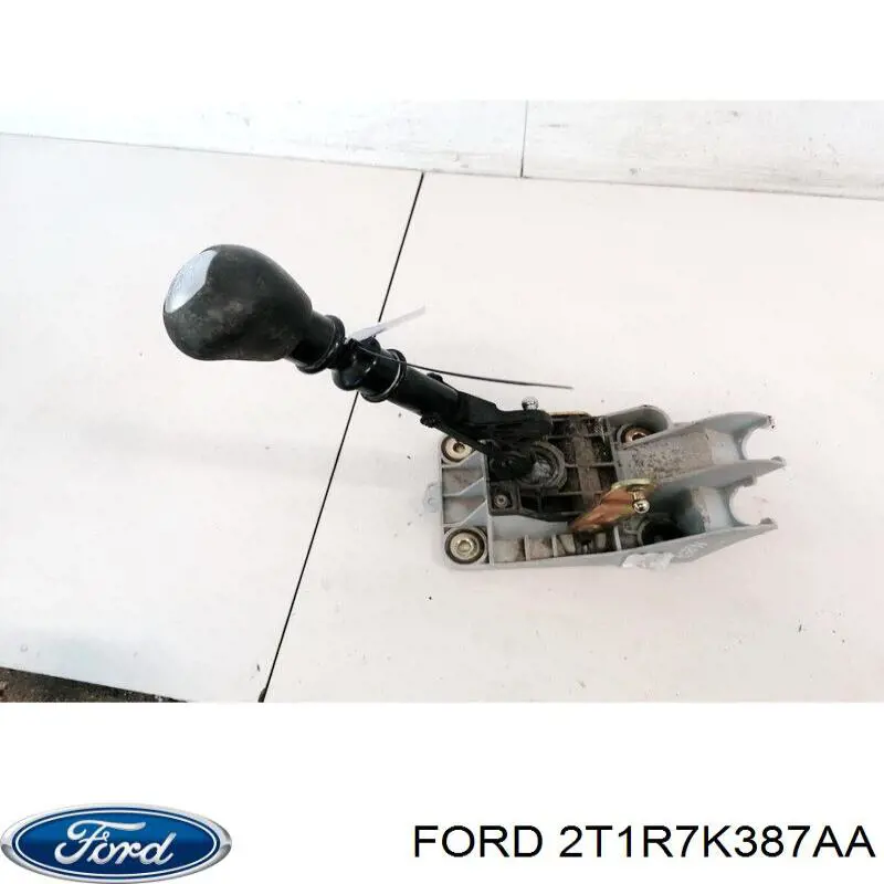 1307957 Ford 