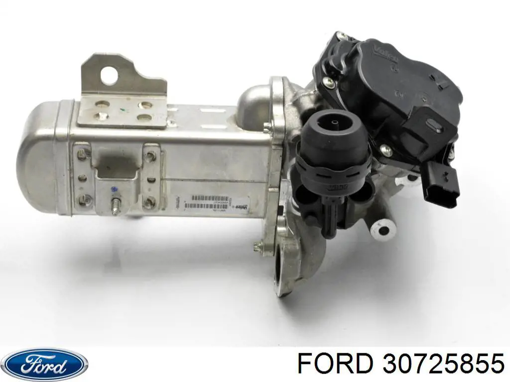  30725855 Ford