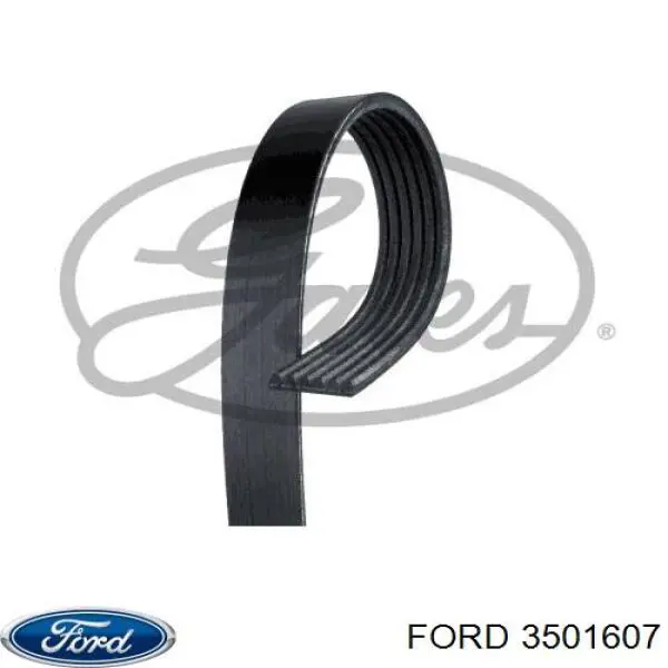 3501607 Ford 