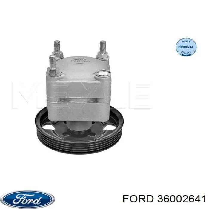 Насос ГУР 36002641 Ford