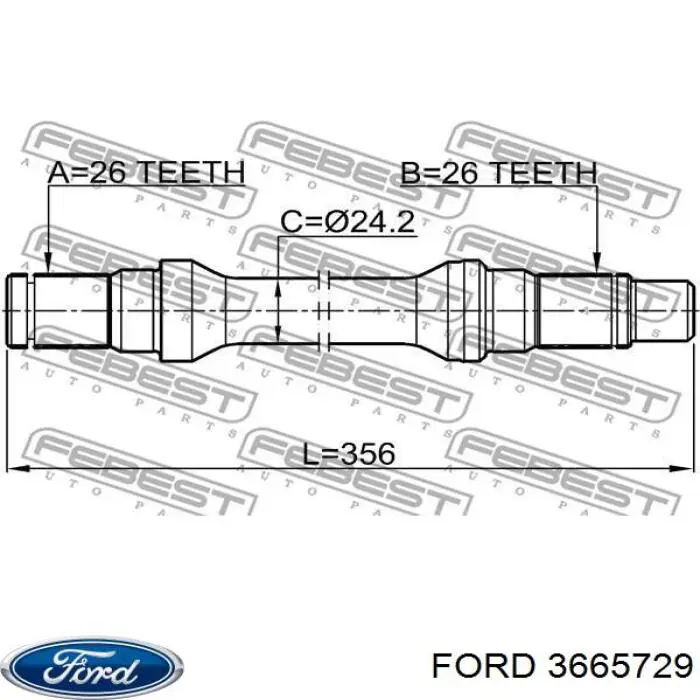 3665729 Ford 