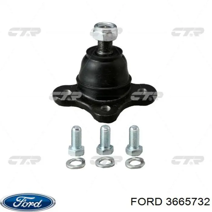 Купить 3665732 Ford Верхняя шаровая опора