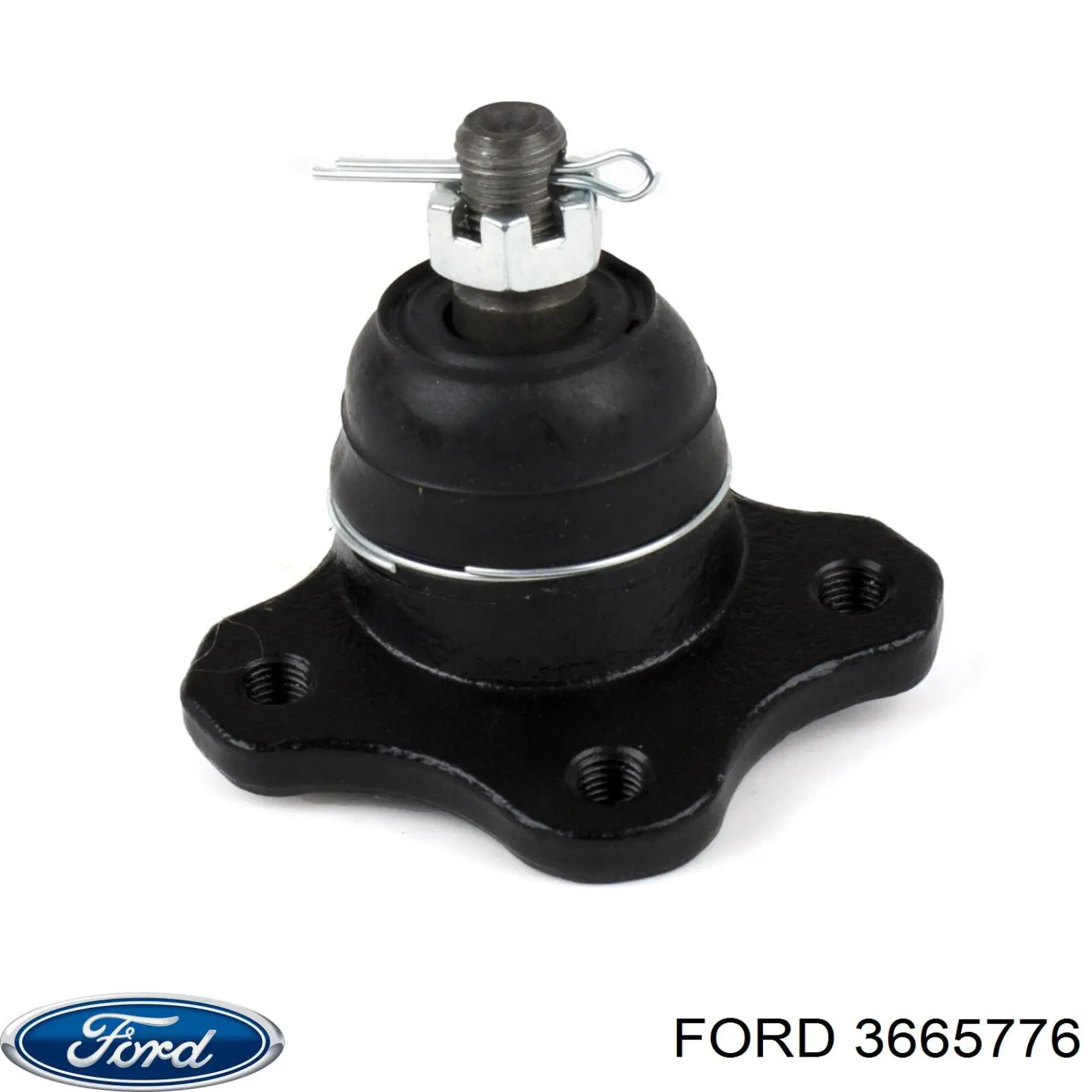  3665776 Ford