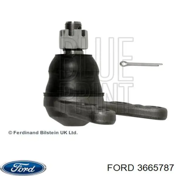 Нижняя шаровая опора 3665787 Ford