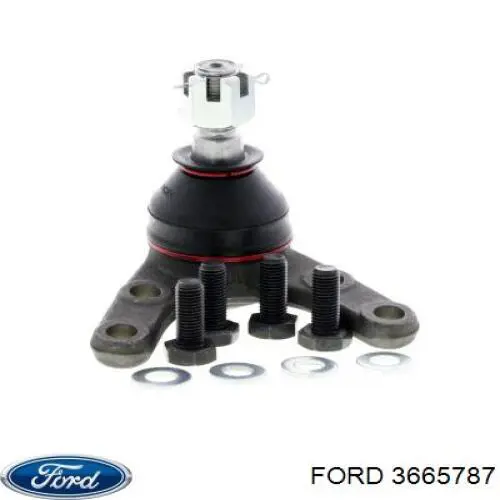 Нижняя шаровая опора Ford 3665787