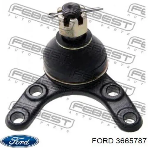 Шаровая опора, нижняя Ford 3665787 цена, от 19.18 USD