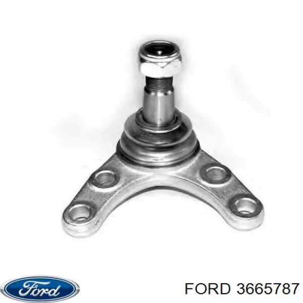 Купить 3665787 Ford Нижняя шаровая опора