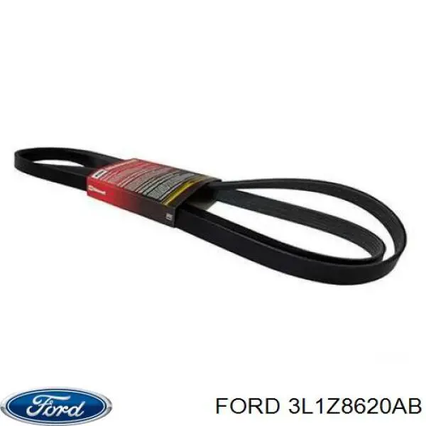Купить 3L1Z8620AB Ford Ремень генератора