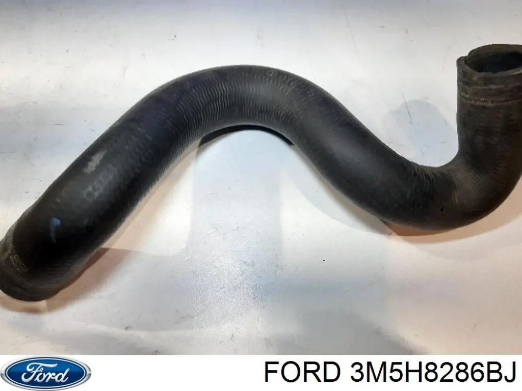 Нижний шлаг радиатора охлаждения 3M5H8286BJ Ford