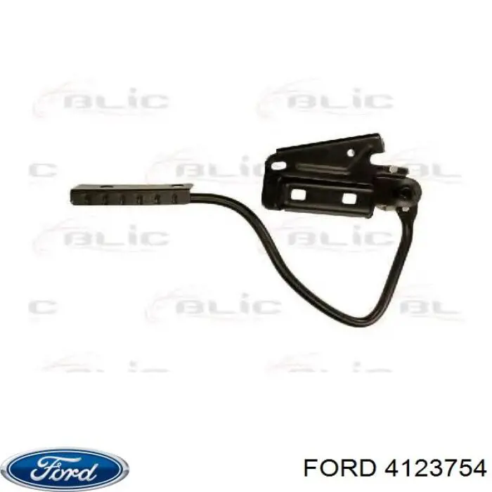 4123754 Ford gozno da capota direito