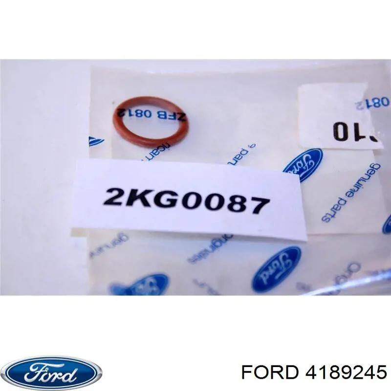 1W1H19E889DA Ford 