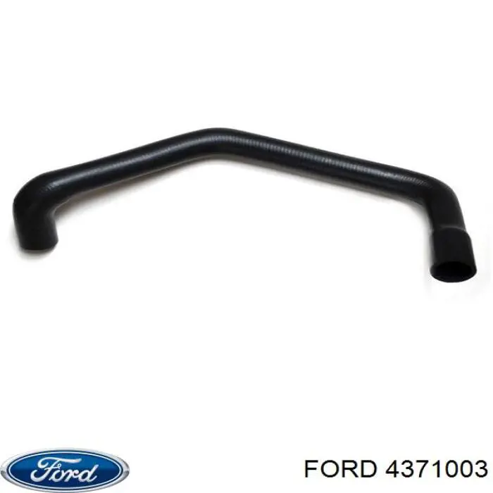 Нижний шлаг радиатора охлаждения 4371003 Ford