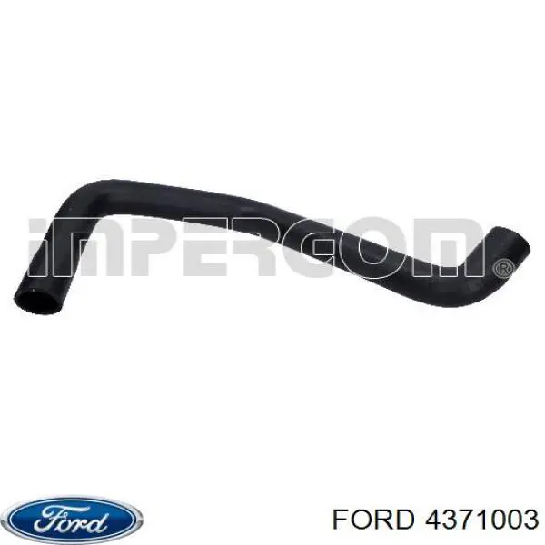 Купить 4371003 Ford Шланг радиатора охлаждения нижний