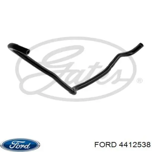 4412538 Ford mangueira superior do tanque de expansão